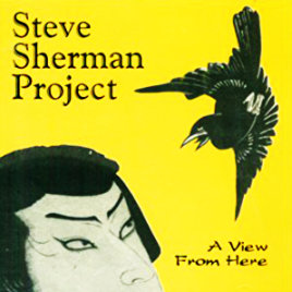 A View From Here - Steve Sherman Project